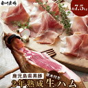 黒豚 【ふるさと納税】生ハム 熟成 骨付き 鹿児島黒豚 | 骨付き生ハム 2年熟成 黒豚 肉 お肉 にく 食品 人気 おすすめ 送料無料 ギフト クリスマス Xmas パーティー