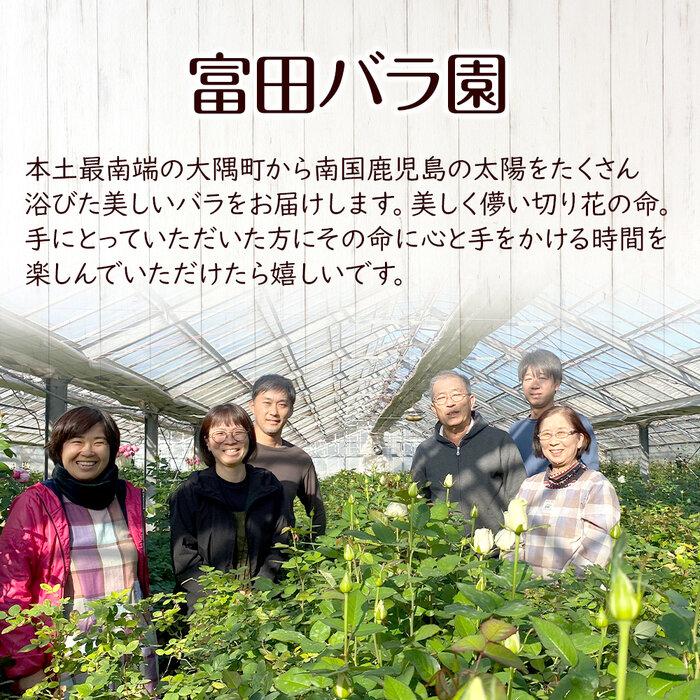 【ふるさと納税】【ご自宅用・華やか30本】バラ農家直送！バラ花束 | 花 切り花 薔薇 新鮮 美しい 綺麗 おまかせ 本土最南端