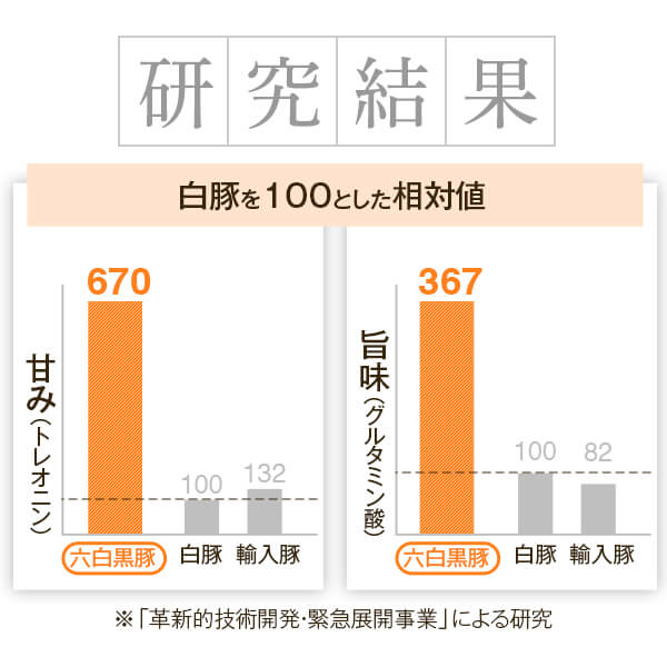 【ふるさと納税】黒豚豚肉特選黒豚焼肉とんかつセットバラ500gtimes;2ロース300gtimes;2モモ500g黒豚餃子12個入り和田養豚ミートセンターカルビ餃子豚バラ肉豚鹿児島お歳暮肝付町ふるさと納税