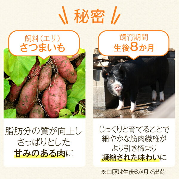 【ふるさと納税】黒豚豚肉特選黒豚焼肉とんかつセットバラ500gtimes;2ロース300gtimes;2モモ500g黒豚餃子12個入り和田養豚ミートセンターカルビ餃子豚バラ肉豚鹿児島お歳暮肝付町ふるさと納税