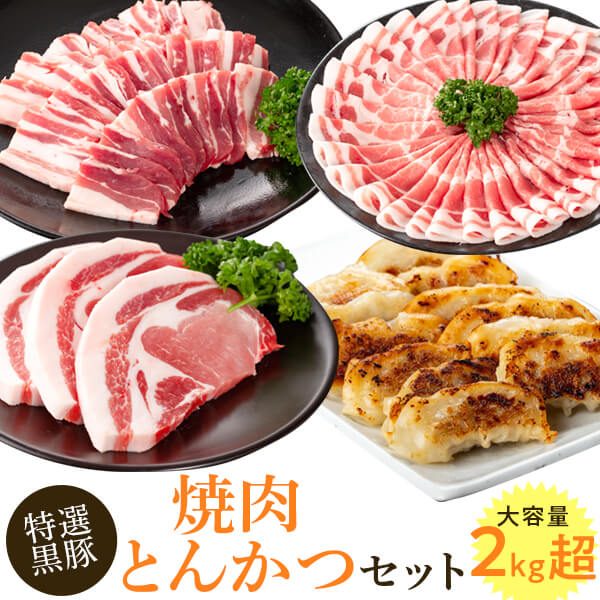 特選黒豚焼肉とんかつセット(計約2.1kg) 黒豚バラ(焼肉用)、黒豚ロース(トンカツ用)、黒豚モモスライス、黒豚餃子のセット! 鹿児島 国産 九州産 黒豚 豚肉 お肉 バラ ロース モモ スライス 餃子 ぎょうざ 焼肉 しゃぶしゃぶ[和田養豚]