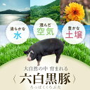 【ふるさと納税】特選黒豚 肩・とんかつセット！黒豚餃子(12個入)×1P付き！ 鹿児島 国産 九州産 黒豚 豚肉 お肉 ロース 肩ロース 餃子 ぎょうざ トンカツ しゃぶしゃぶ すきやき おかず 惣菜【和田養豚】 3