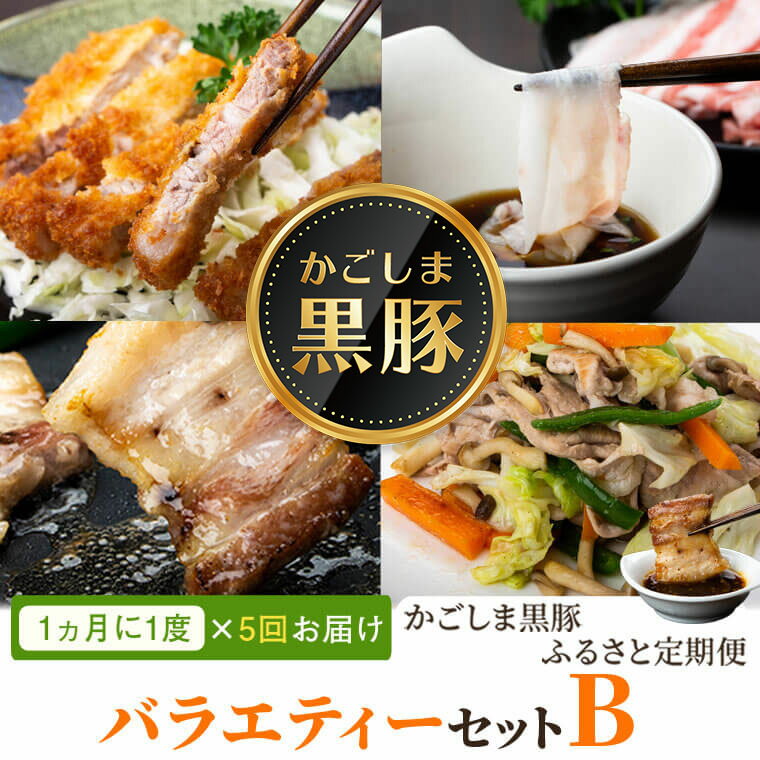 ＜定期便・全5回(毎月)＞バラエティーセットB！ 肩ロース バラ ロース 黒豚餃子 焼豚 干し芋 バラエティー 豚肉 かごしま黒豚ふるさと定期便 鹿児島 国産 九州産 お肉 精肉 ギョーザ ぎょうざ 干芋 焼肉 とんかつ しゃぶしゃぶ ギフト 贈答【和田養豚】