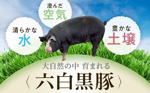 【ふるさと納税】 極上かごしま黒豚セット！(合計約2.5kg・豚肉3種・餃子・黒豚みそ) ロース 黒豚みそ 黒豚餃子 セット 鹿児島 国産 九州産 黒豚 味噌豚 しゃぶしゃぶ 生姜焼き トンカツ みそぶた 餃子 ギョーザ ぎょうざ ギフト 贈答【和田養豚】