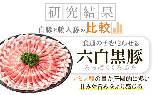 【ふるさと納税】特選黒豚(計約1.1kg)・黒豚焼豚(計約400g・200g×2個)・干し芋(計160g・約80g×2P)セット 鹿児島 国産 九州産 黒豚 豚肉 しゃぶしゃぶ とんかつ お肉 焼豚 叉焼 チャーシュー 干し芋 ほしいも おやつ お菓子 ギフト 贈答【和田養豚】