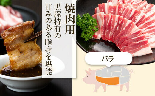【ふるさと納税】特選黒豚焼肉・トンカツ・黒豚焼豚2個セット