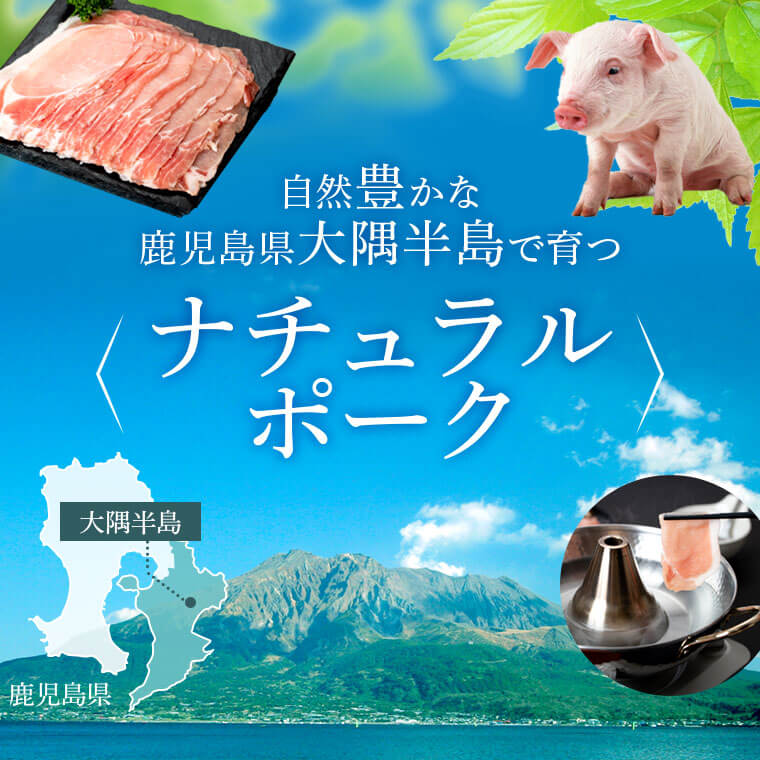 【ふるさと納税】鹿児島県産豚バラスライス(計約3kg・300g×10パック) 鹿児島 国産 九州産 黒豚 豚肉 お肉 豚バラ スライスしゃぶしゃぶ 野菜炒め 生姜焼き【大将食品】