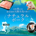 【ふるさと納税】 鹿児島県産豚厚切りステーキ&しゃぶしゃぶ三昧セット(合計約7.6kg) 鹿児島 国産 九州産 豚ロース ステーキ 豚バラ トンテキ とんかつ トンカツ しゃぶしゃぶ 【大将食品】 2