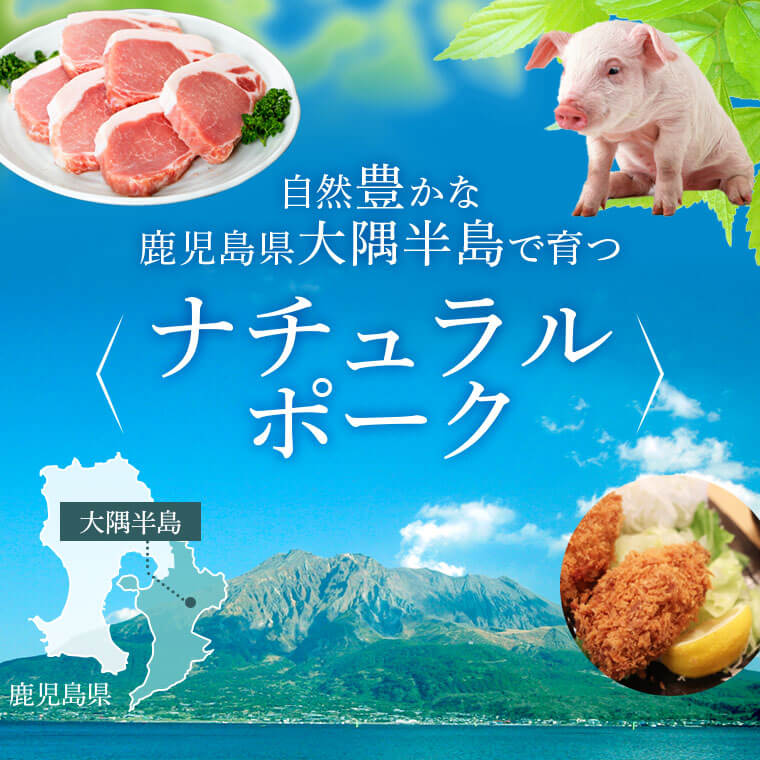 【ふるさと納税】 鹿児島県産厚切り豚ロースステーキ用(約1kg) 鹿児島 国産 九州産 豚肉 ポーク ロース 厚切り とんかつ トンテキ ステーキ【大将食品】