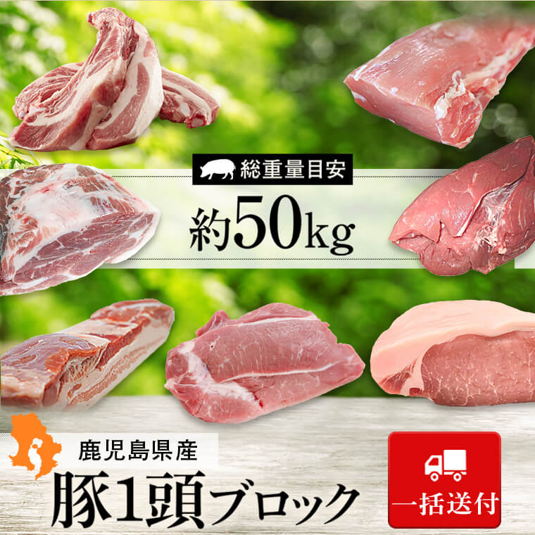 ＜一括送付＞鹿児島県産豚1頭ブロックセット(6箱・総量約50kg前後)豚肉 肉ロース 肩ロース バラ ウデ モモ ヒレ スペアリブ 鹿児島 国産【大将食品】