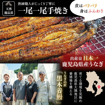 【ふるさと納税】黒匠うなぎ ひつまぶしの元 タレ入り 鰻 黒木養鰻 鹿児島 お歳暮 肝付町 ふるさと 納税