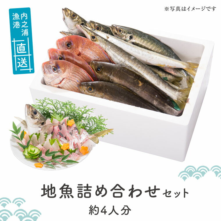 【ふるさと納税】 地魚詰め合わせセット(約4人分) 鹿児島 国産 九州産 産直 産地直送 鮮魚 新鮮 魚 海産物 お刺身 煮つけ 焼き魚【マルケイ水産】