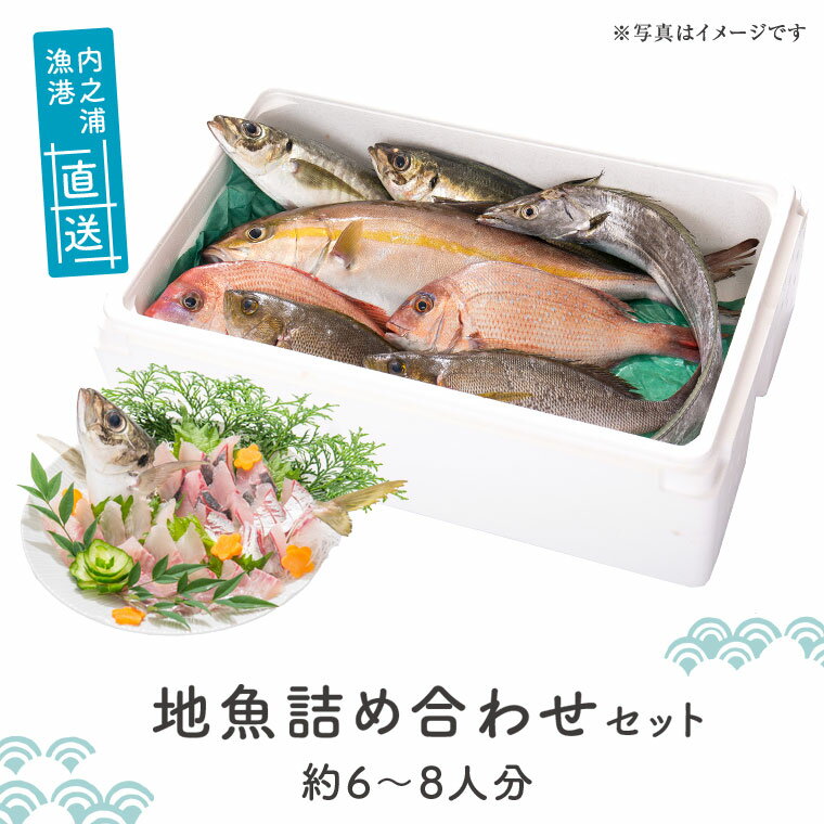 地魚詰め合わせセット(約6〜8人分) 朝獲れ 鮮魚 地元の魚屋が選別 旬 魚 地魚 さかな 刺身 煮つけ 焼き魚 詰合わせ セット 海産物 国産[マルケイ水産]