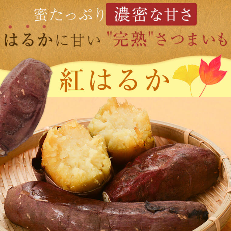 【ふるさと納税】＜2023年11月以降より発送予定＞鹿児島県肝付町産完熟さつまいも「紅はるか」冷凍焼きいも(計1.5kg・約500g×3袋) 紅はるか べにはるか 焼き芋 やきいも 冷凍 冷やし焼き芋 さつまいも サツマイモ 甘い 蜜 完熟 ギフト お歳暮【横山砕石】