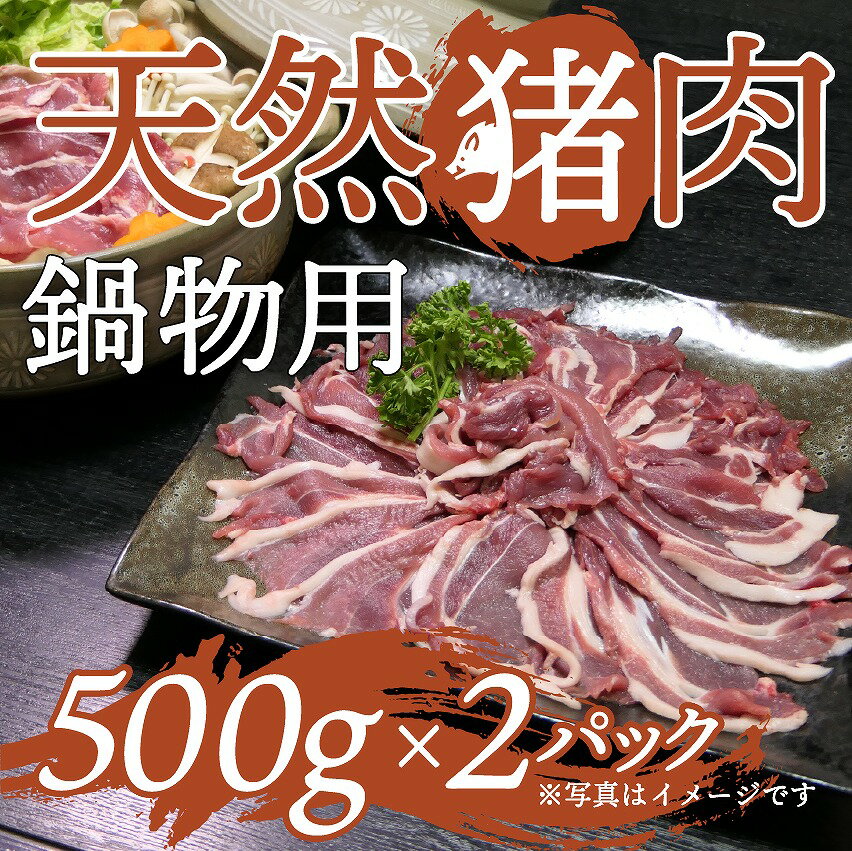 【ふるさと納税】天然イノシシ肉！鍋物用(500g×2P・計1