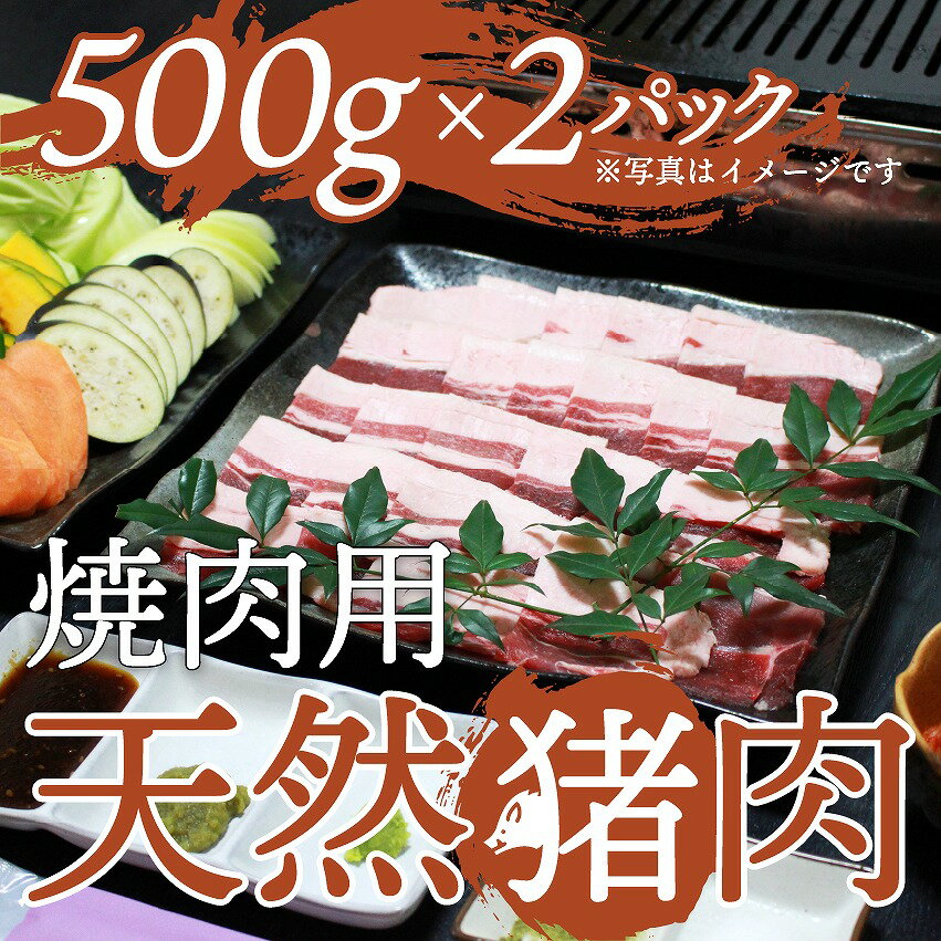 【ふるさと納税】天然イノシシ肉！焼肉・鉄板焼き用(500g×2P・計1kg) 鹿児島 国産 猪肉 いのしし肉 ジビエ ジビエ肉 ぼたん 牡丹 お取り寄せ ギフト 贈答【きらく】のサムネイル