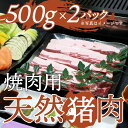 【ふるさと納税】天然イノシシ肉！焼肉・鉄板焼き用(500g×2P・計1kg) 鹿児島 国産 猪肉 いのしし肉 ジビエ ジビエ肉 …