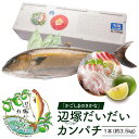 【ふるさと納税】産地直送！辺塚だいだいカンパチ(約3.5kg・1本) 鹿児島 国産 九州産 産地直送 カンパチ 勘八 魚 魚介 鮮魚 おかず 海産物【高山漁業協同組合】