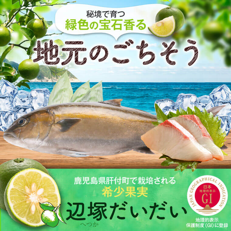 【ふるさと納税】産地直送！辺塚だいだいカンパチ(約3.5kg・1本) 鹿児島 国産 九州産 産地直送 カンパチ 勘八 魚 魚介 鮮魚 おかず 海産物【高山漁業協同組合】