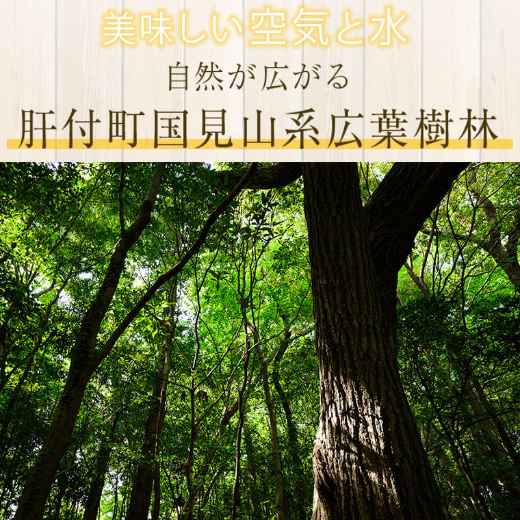 鹿児島県肝付町の画像2