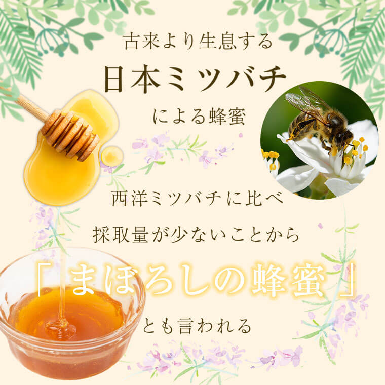 鹿児島県肝付町の画像3