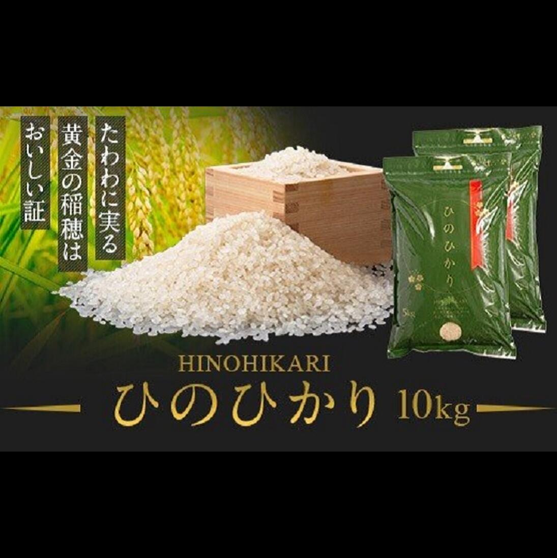 【ふるさと納税】鹿児島県産ひのひかり(10kg)肝付町の認定農業者が美味しいお米をお...