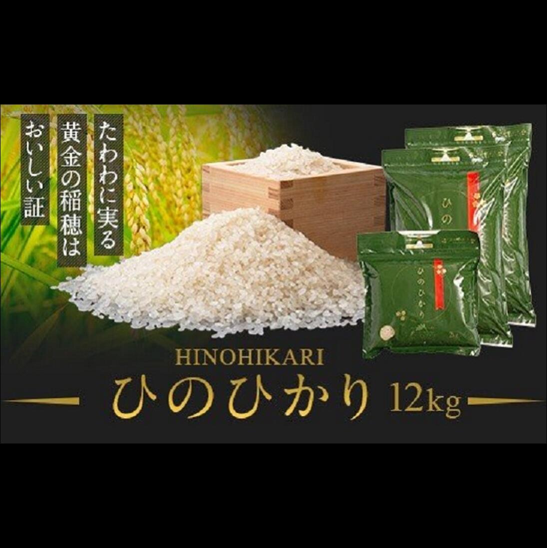 【ふるさと納税】鹿児島県産ひのひかり(12kg) 鹿児島 国産 九州産 白米 お米 こめ コメ ごはん ご飯 農家直送 ひのひかり ヒノヒカリ チャック付き【瑞ひかり】