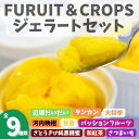 【ふるさと納税】南のくだもの王国 南のFRUIT&CROPS ジェラート セット (9種 9個入り) ジェラート アイス スイーツ フルーツ おやつ デザート ...