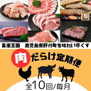 【ふるさと納税】<定期便・全10回>肝付町セレクト定期便《肉だらけ定期便C》 鹿児島 牛肉 黒毛和牛 豚肉 黒豚 鶏肉 唐揚げ 味付け 定期便 セレクト 加工品...