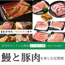 【ふるさと納税】<定期便・全6回>肝付町セレクト定期便《鰻と豚肉を楽しむ定期便》 鹿児島 豚肉 鹿児島県産 黒豚 鰻 うなぎ ウナギ とんかつ しゃぶしゃぶ ハ...