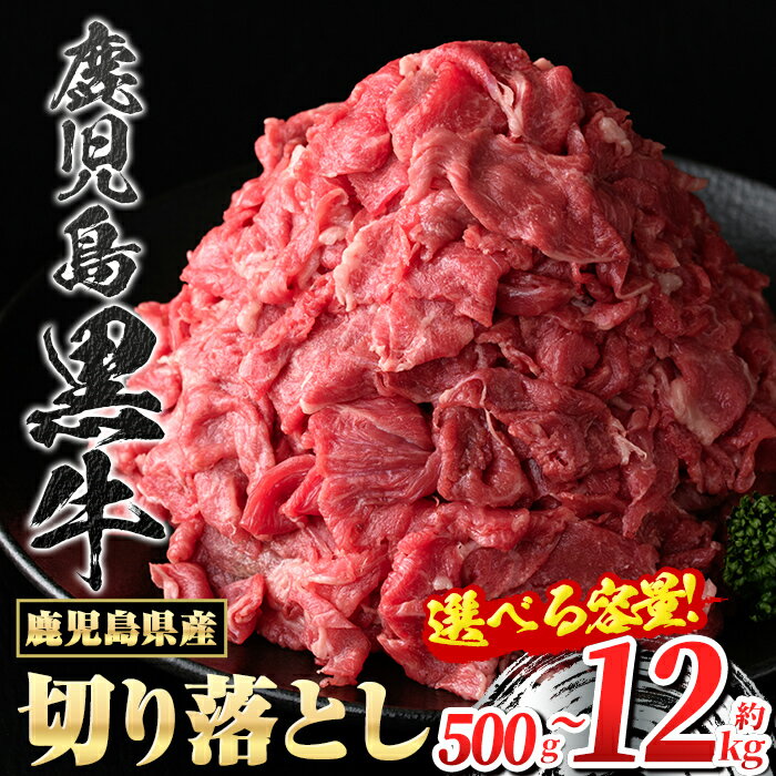 【ふるさと納税】＜容量が選べる！＞ 鹿児島黒牛 切り落とし ( 1パック 500g・約500g ～ 計12kg ) 鹿...
