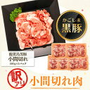 17位! 口コミ数「3件」評価「4」＜訳あり＞かごしま黒豚小間切れ肉(計約2.5kg・約500g×5P) 鹿児島 国産 九州産 黒豚 豚肉 お肉 ウデ モモ スライス 切落し ･･･ 