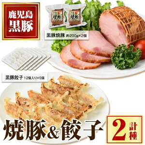 【ふるさと納税】黒豚焼豚(2個)&黒豚餃子(12個×5P)セット! 鹿児島 国産 九州産 黒豚 豚肉 お肉 餃子 ギョーザ ぎょうざ 角煮 焼豚 叉焼 チャーシュー おかず 惣菜【和田養豚】