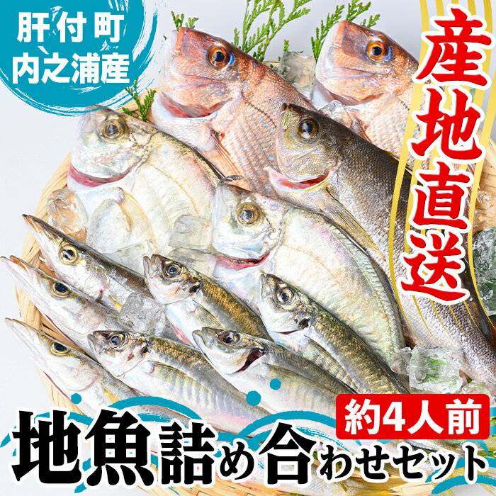 【ふるさと納税】 地魚詰め合わせセット(約4人分) 鹿児島 国産 九州産 産直 産地直送 鮮魚 新鮮 魚 海産物 お刺身 煮つけ 焼き魚【マルケイ水産】