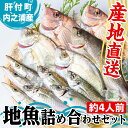 7位! 口コミ数「4件」評価「4.75」 地魚詰め合わせセット(約4人分) 鹿児島 国産 九州産 産直 産地直送 鮮魚 新鮮 魚 海産物 お刺身 煮つけ 焼き魚【マルケイ水産】