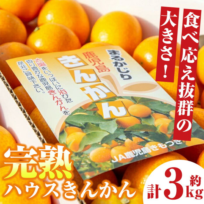 【ふるさと納税】＜先行予約受付中！1～2月に収穫ができ次第順次発送予定＞肝付町産 完熟ハウスきんかん(約3kg×1ケース) 鹿児島 国産 フルーツ 果物 柑橘 金柑 きんかん 果汁 ギフト お歳暮【JA鹿児島きもつき高山支所】のサムネイル