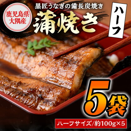 《数量限定》＜備長炭焼き＞黒匠うなぎ蒲焼・ハーフサイズ(約100g×5袋) 鹿児島 国産 鰻 うなぎ ウナギ 職人手焼き 鰻生産量日本一 蒲焼き うな丼 うな重 ひつまぶし 真空パック お土産 贈答 ギフト 【黒木養鰻】