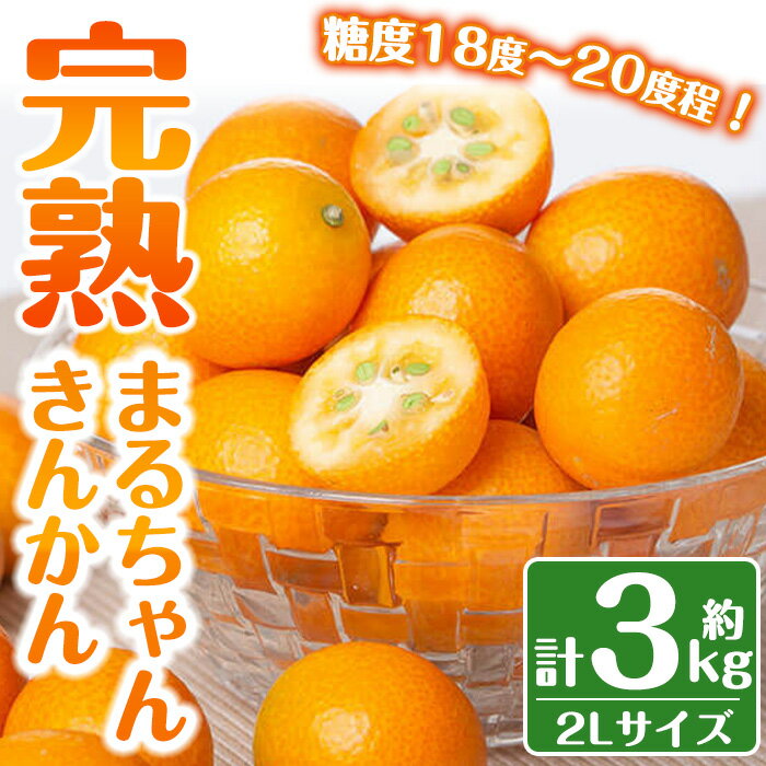 【ふるさと納税】＜先行受付＞肝付町産完熟まるちゃんきんかん(約3kg)皮ごと食べられる！カロテンやビタミンCなどを豊富に含んだ金柑【丸山果樹園】