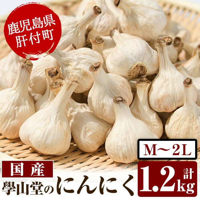 【ふるさと納税】學山堂のにんにく(計1.2kg) 鹿児島 国産 にんにく ニンニク 大蒜 野菜 ガーリック 薬味【ニンニクの學山堂】