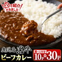 【ふるさと納税】<容量が選べる!>鹿児島黒牛ビーフカレー(160g×10P or 30P) 鹿児島 国産 黒牛 牛肉 カレー ビーフ レトルトカレー パック ご当地カレー おかず 惣菜 ギフト 贈答 常温保存 常温 【新村畜産】