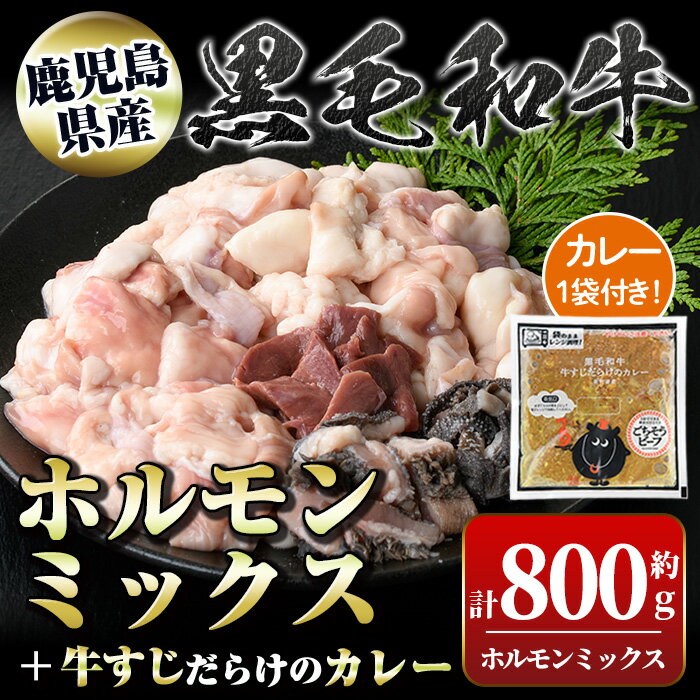 10位! 口コミ数「0件」評価「0」黒毛和牛ホルモンミックス(計800g)＋黒毛和牛牛すじだらけのカレー(1袋)セット！ 鹿児島 国産 牛肉 黒毛和牛 牛肉専門店 和牛日本一 ･･･ 