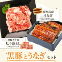 【ふるさと納税】鹿児島黒豚ウデ肉切り落とし(計1.5kg・500g×3P)・うなぎ2尾セット 鹿児島 国産 九州産 黒豚 豚肉 お肉 鰻 うなぎ ウナギ うな重 うな丼 ギフト【和田養豚】