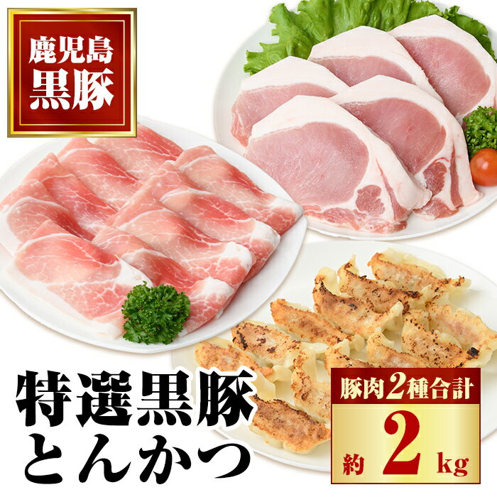 【ふるさと納税】特選黒豚とんかつ大盛セット(約2.0kg)黒豚餃子(12個入×1P)付き！ 鹿児島 国産 九州産 黒豚 豚肉 お肉 ロース モモ 餃子 ぎょうざ 焼肉 とんかつ【和田養豚】のサムネイル