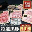 【ふるさと納税】 特選黒豚 計約1.6kg 黒豚焼豚 約200g 2個 黒豚餃子 12個入 1P 鹿児島 国産 九州産 黒豚 豚肉 お肉 バラ肉 ロース トンカツ 焼豚 叉焼 チャーシュー 餃子 ぎょうざ ギョーザ …