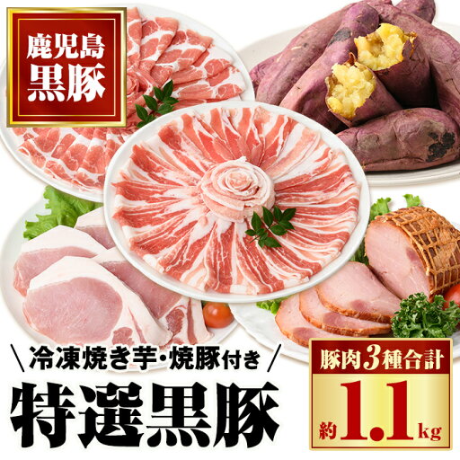 【ふるさと納税】特選黒豚(計約1.1kg)、黒豚焼豚(計約400g・200g×2個)、焼き芋(計約800g)セット! 鹿児島 国産 黒豚 豚肉 お肉 六白 肩ロース 豚バラ ロース とんかつ トンカツ 焼豚 チャーシュー 叉焼 やきいも 焼き芋 紅はるか 冷凍【和田養豚】 【ふるさと納税】特選黒豚(計約1.1kg)、黒豚焼豚(計約400g・200g×2個)、焼き芋(計約800g)セット! 鹿児島 国産 黒豚 豚肉 お肉 六白 肩ロース 豚バラ ロース とんかつ トンカツ 焼豚 チャーシュー 叉焼 やきいも 焼き芋 紅はるか 冷凍【和田養豚】