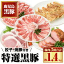 【ふるさと納税】特選黒豚大盛(約1.4kg)・黒豚焼豚2個・黒豚餃子(12個入×1P)セット!黒豚バラ・肩ロース(しゃぶしゃぶ用)、黒豚ロース(トンカツ用)のセ...