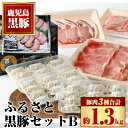 【ふるさと納税】 ふるさと黒豚セットB！ 黒豚バラ肉・肩ロース・モモスライス(計約1.3kg)、黒豚焼豚(約200g×2個)、黒豚餃子(12個入り×3P) 鹿児島 国産 九州産 黒豚 豚肉 お肉 しゃぶしゃぶ 焼豚 叉焼 チャーシュー 餃子 ぎょうざ ギョーザ 水餃子 ギフト【和田養豚】