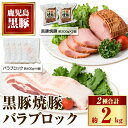 【ふるさと納税】鹿児島県産黒豚バラブロック(計約1.6kg・約400g×4P) 黒豚焼豚(約200g×2個) 鹿児島 国産 九州産 黒豚 豚肉 お肉 焼豚 叉焼...