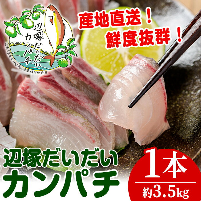 産地直送！辺塚だいだいカンパチ(約3.5kg・1本) 鹿児島 国産 九州産 産地直送 カンパチ 勘八 魚 魚介 鮮魚 おかず 海産物【高山漁業協同組合】