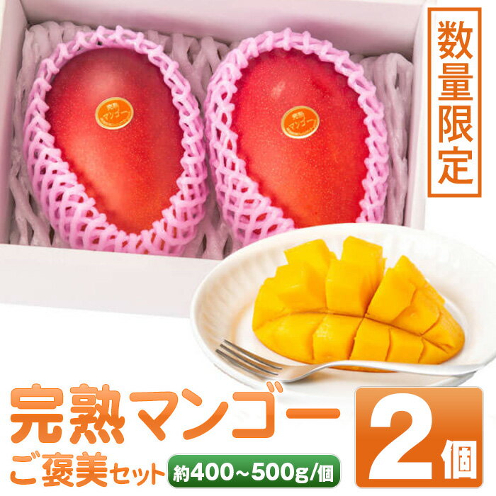 【ふるさと納税】＜先行予約受付中！＞肝付町産完熟マンゴーご褒美セット(約400~500g×2個) 太陽の恵みたっぷ 濃厚 フルーツ 果物 果実 完熟 マンゴー お中元 お歳暮 ギフト 贈答【SHOWAマンゴー農園】のサムネイル